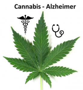 Terapia-cannabis-alzheimer - Blog Imentia