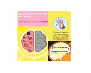 glucosa-energia-cerebro-alzheimer